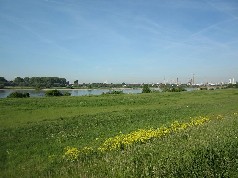 Fruehling16.jpg