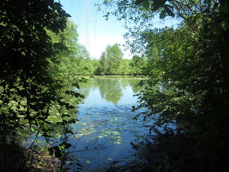 Fruehling21.jpg