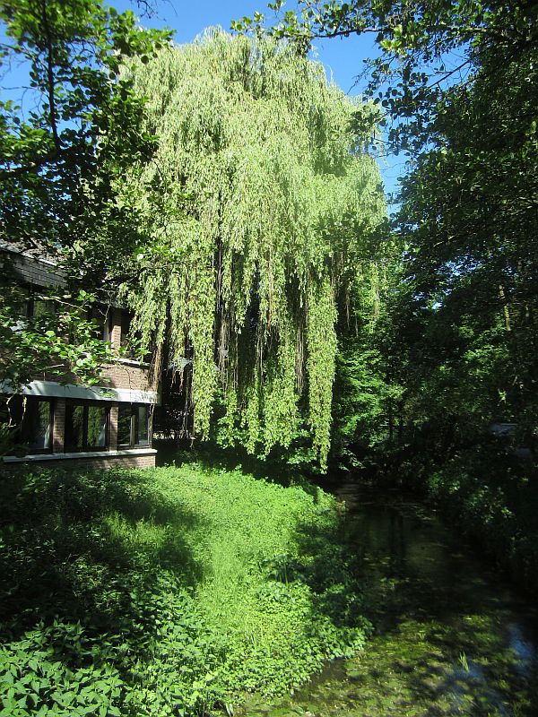 Fruehling23.jpg