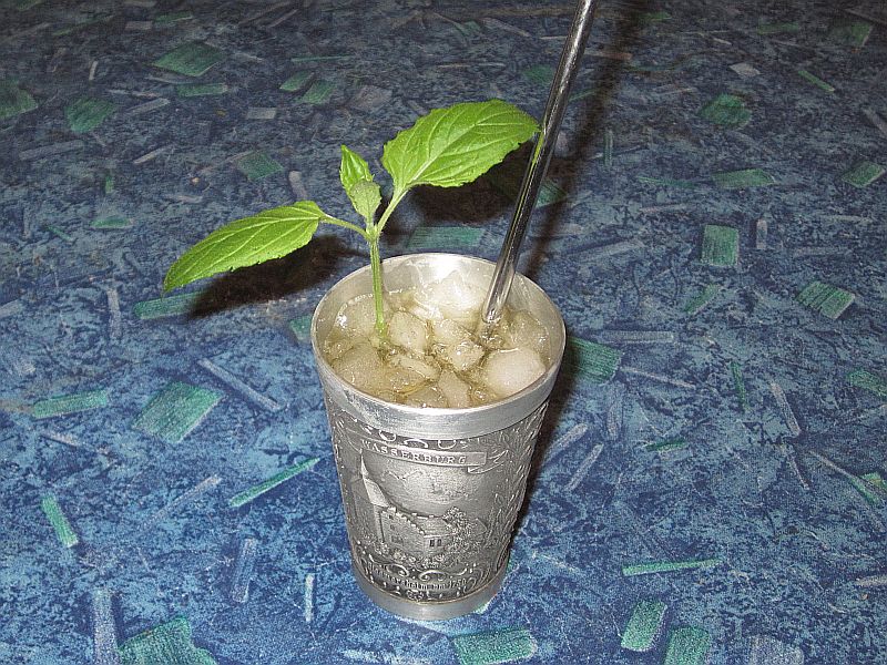 MintJulep.jpg