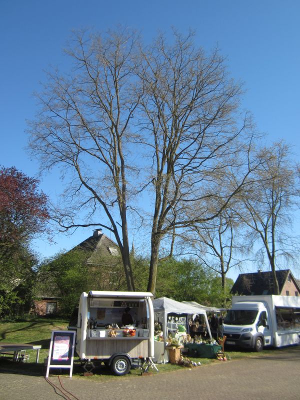 Naturmarkt52.JPG