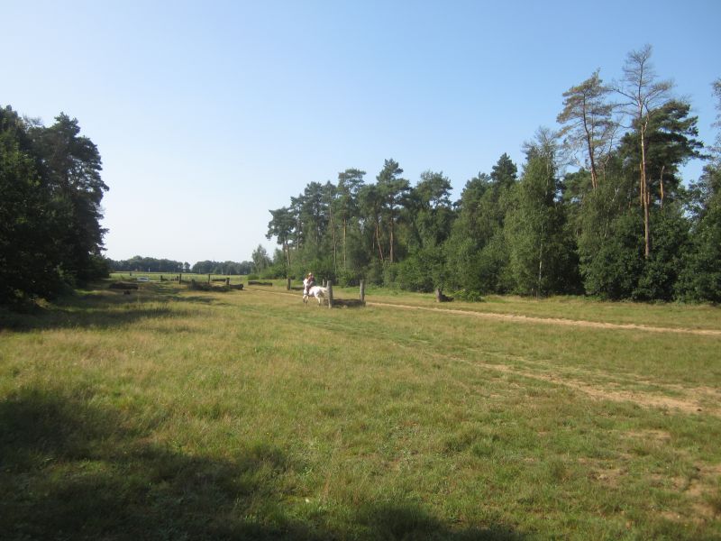 Meinweg03.JPG