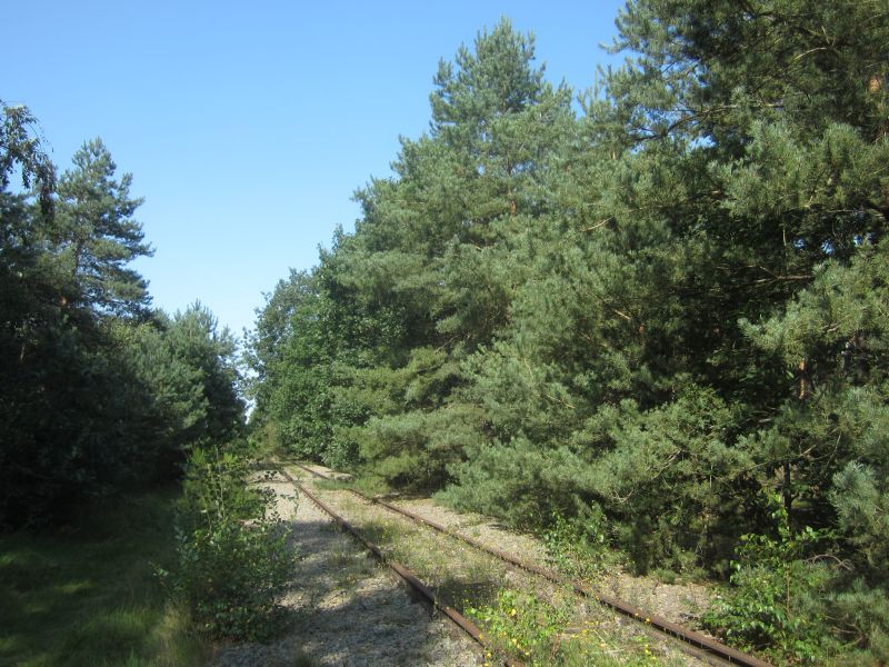 Meinweg05.JPG