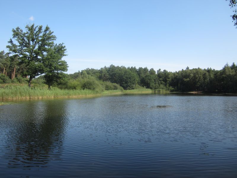 Meinweg08.JPG