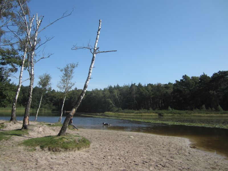 Meinweg09.JPG