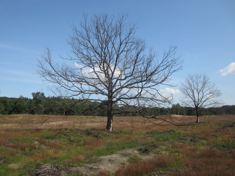 Meinweg20.JPG