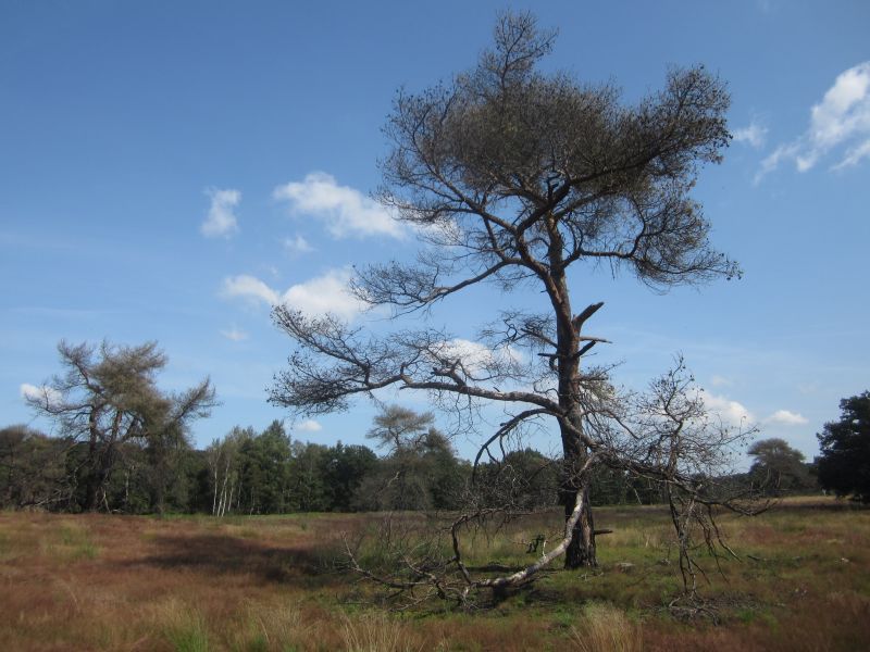 Meinweg21.JPG