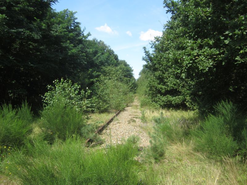 Meinweg24.JPG