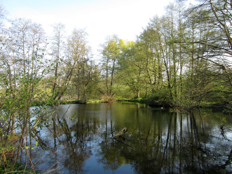 Wittsee09.JPG