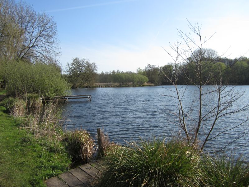 Wittsee12.JPG