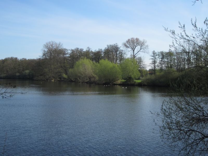 Wittsee13.JPG
