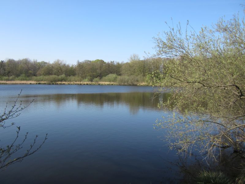 Wittsee14.JPG