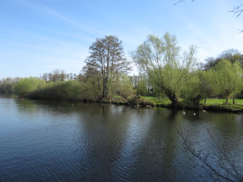 Wittsee15.JPG