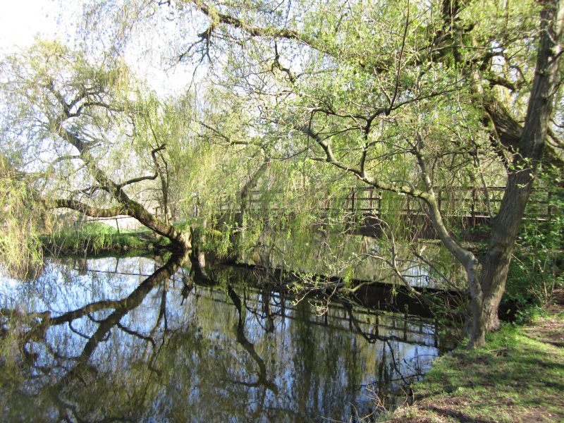 Wittsee28.JPG