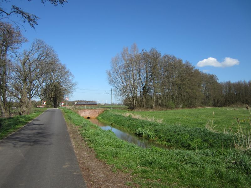 RB08.JPG