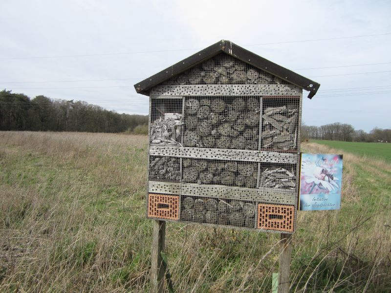 Eskensley03.JPG