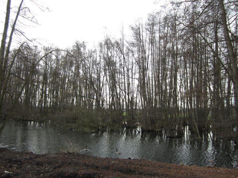 Eskensley05.JPG