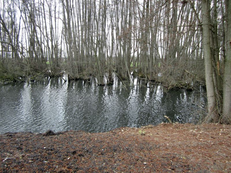 Eskensley06.JPG