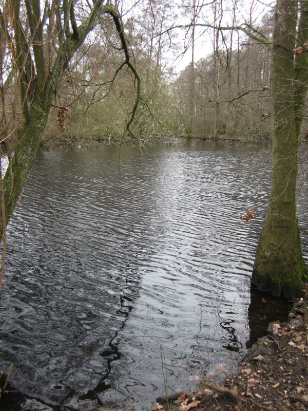 Eskensley07.JPG