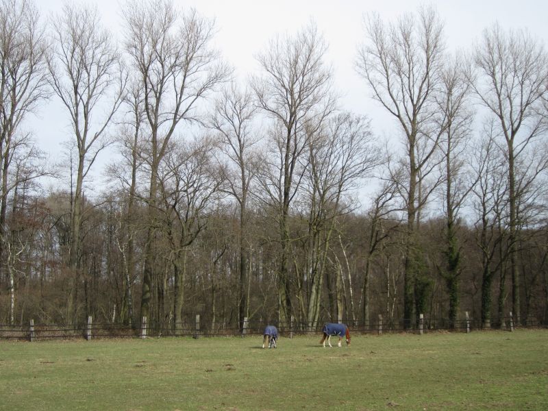 Eskensley14.JPG