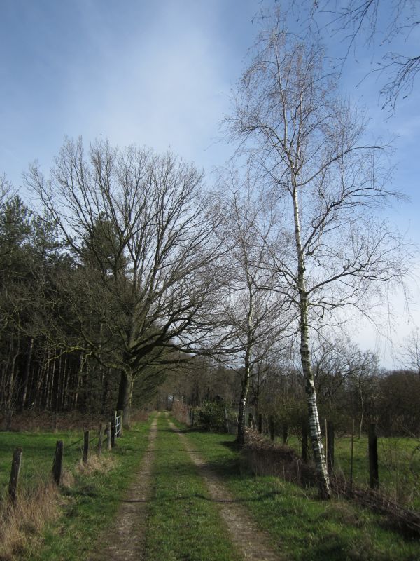 Eskensley16.JPG