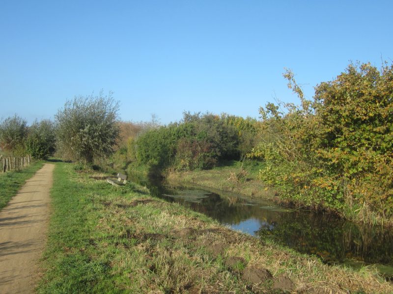 MedWeg05.JPG