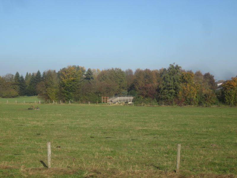 MedWeg08.JPG