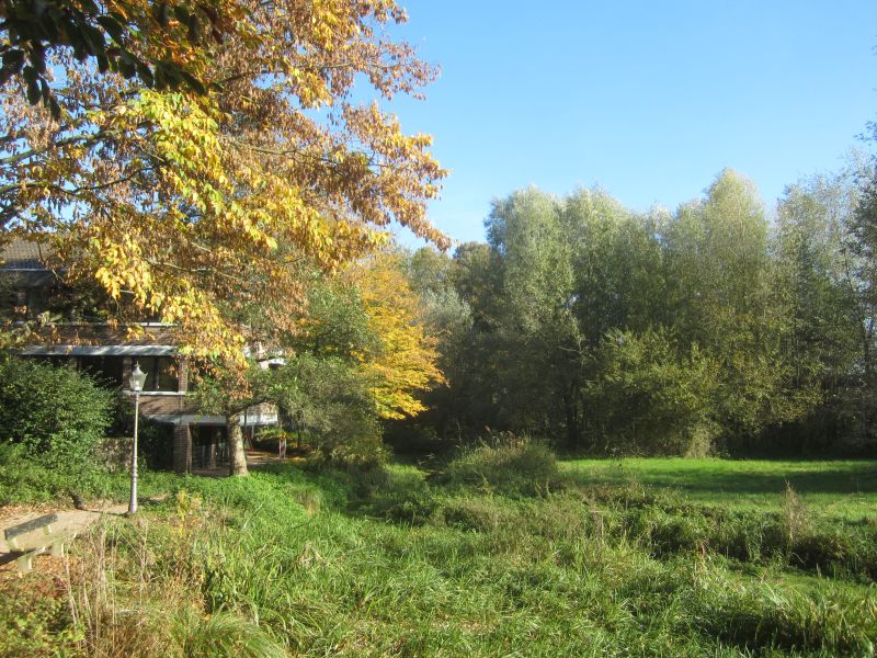 MedWeg25.JPG