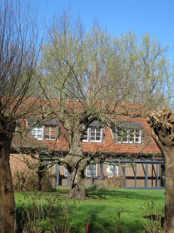 Leuther05.JPG