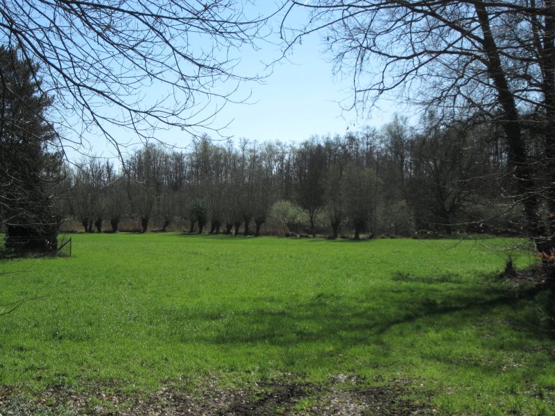 Leuther07.JPG
