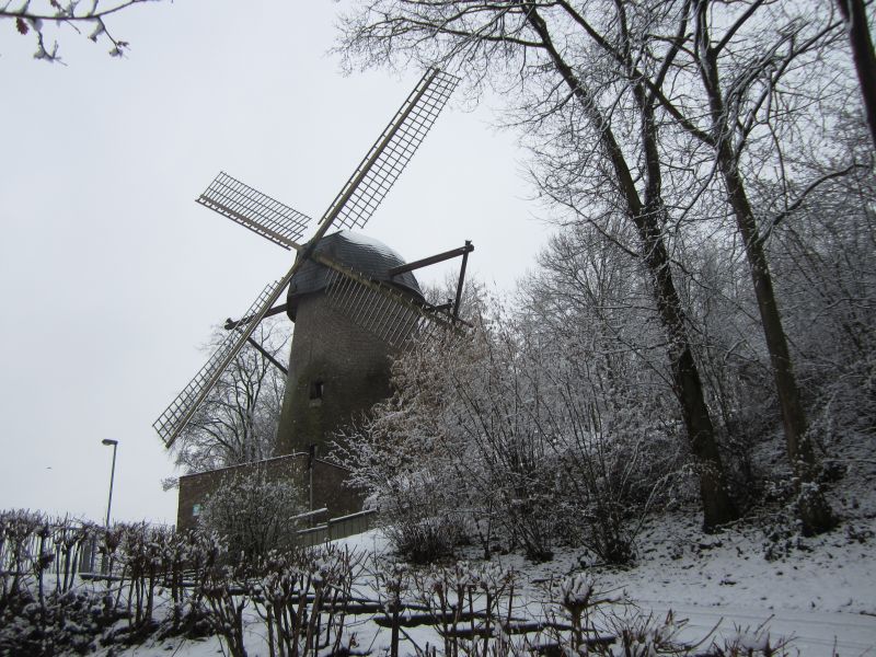 Winter08.JPG