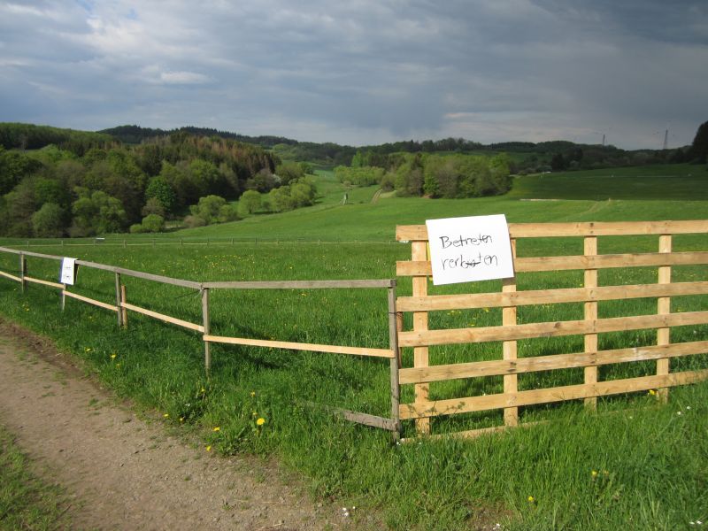 IC046.JPG
